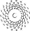 Trebbia Trebbia